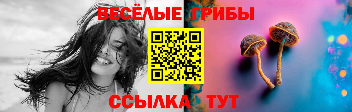 Родники  Галлюциногенные грибы Psilocybe  Вход с VPN 